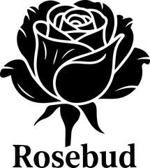Rose bud silhouette isolated floral vector illustration on white background
