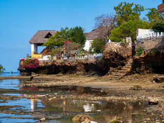 africa