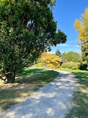 Autumn in full bloom