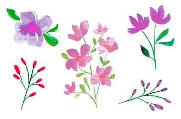 Set of colorful flowers watercolor illustration elements