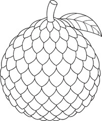 Detailed hand drawn sketch of salak fruit with leaf and stem tropical fruit artwork ready for coloring and illustration