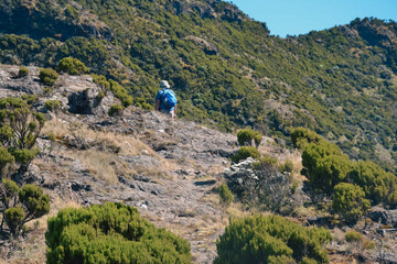 Rear view of a hiker against a mountain background on the Elephant Hill hiking trail in the Aberdare Ranges in Kenya 
