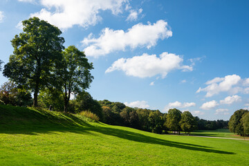 View of a public city green park with trees and grass