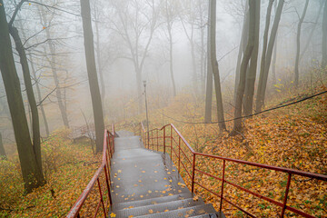 Winding stairs descend into a mysterious foggy forest filled with colorful autumn leaves