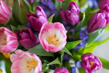 A vibrant bouquet of pink and purple tulips, some with open blooms revealing yellow centers, is arranged beautifully.