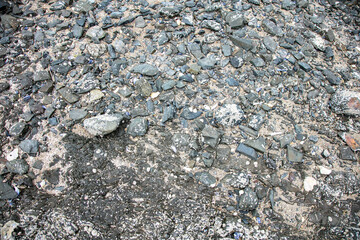 shells cover the coast, seen at low tide