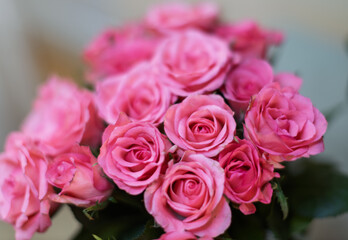 A close-up shot reveals a vibrant bouquet of numerous pink roses, showcasing their delicate petals and soft hues against a blurred background.