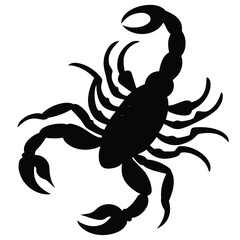 a Scorpion on White Background Vector Illustration