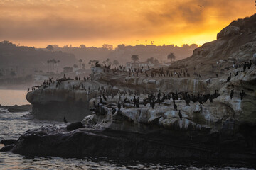 La Jolla Sunrise