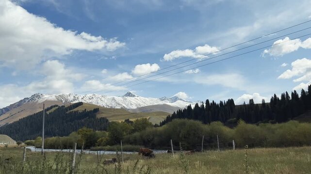 snow mountain, river and forest under the blue sky seen from a traveling vehicle, xinjiang, china