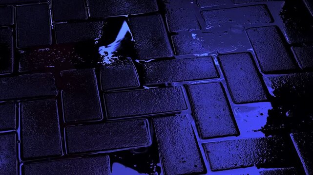 Dark, wet cobblestone street at night with puddles reflecting flashing blue and red emergency lights from a police patrol car