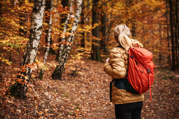 Woman with backpack hiking in autumn forest. Outdoors adventure. Female hiker exploring nature