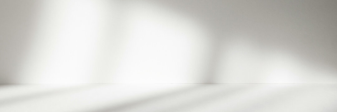 Abstract white studio background with shadows of window. Empty 3d room. Display product with blurred backdrop. Banner