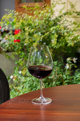 A glass of rich red wine rests on a wooden table surrounded by lush greenery and blooming flowers