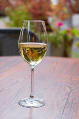 A delicate glass filled with white wine stands on a wooden table, surrounded by vibrant plants
