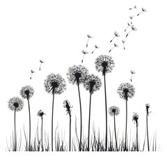 Black silhouette of dandelion flowers with seeds blowing in the wind.
