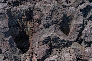Lava Trees and Tree Molds. Lava Flows and spatter deposits of July 19 to 22, 1974. Chain of Craters Road. Hawaiʻi Volcanoes National Park. 
