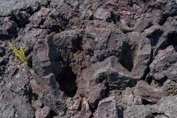 Lava Trees and Tree Molds. Lava Flows and spatter deposits of July 19 to 22, 1974. Chain of Craters Road. Hawaiʻi Volcanoes National Park. 