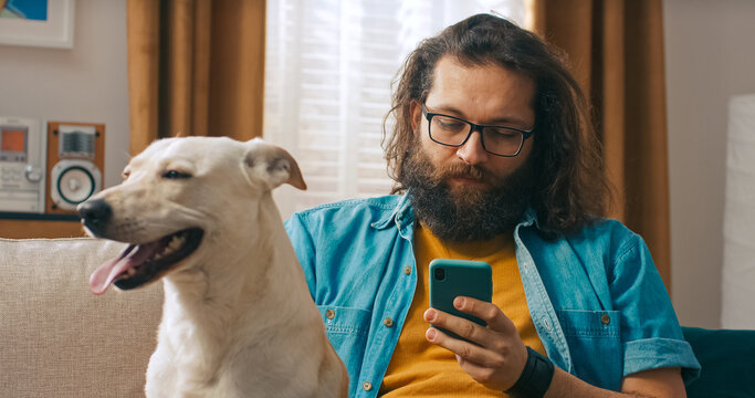 A relaxed man with a beard sits on the sofa next to his dog, using a mobile phone to check insurance offers in a quiet home setting.