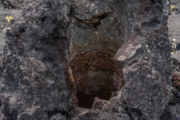 Lava Trees and Tree Molds. Lava Flows and spatter deposits of July 19 to 22, 1974. Chain of Craters Road. Hawaiʻi Volcanoes National Park. 