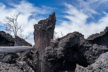 Lava Trees and Tree Molds. Lava Flows and spatter deposits of July 19 to 22, 1974. Chain of Craters Road. Hawaiʻi Volcanoes National Park. 