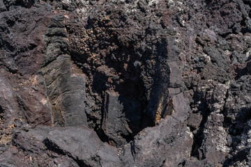 Lava Trees and Tree Molds. Lava Flows and spatter deposits of July 19 to 22, 1974. Chain of Craters Road. Hawaiʻi Volcanoes National Park. 