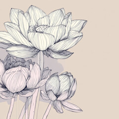 Elegant hand drawn botanical illustration of lotus flowers.