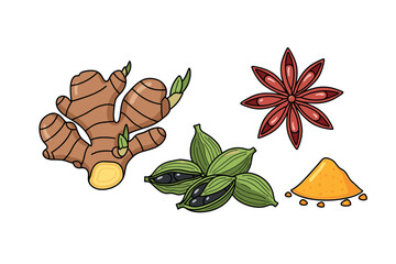 Colorful illustration of ginger, cardamom, turmeric, and star anise spices. Colorful icons set illustrated