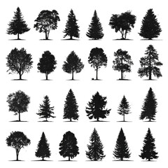 Fototapeta premium Monochrome vector set of various isolated tree silhouettes.
