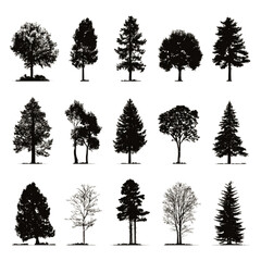 Fototapeta premium A diverse collection of black tree silhouettes isolated on a white background.