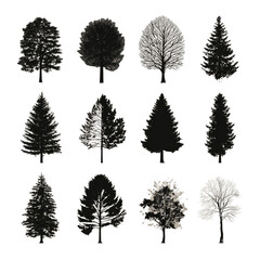 Fototapeta premium A diverse collection of black tree silhouettes and illustrations.