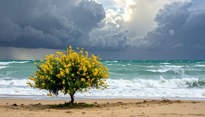 Coastal Tree with Yellow Flowers in Stormy Weather.