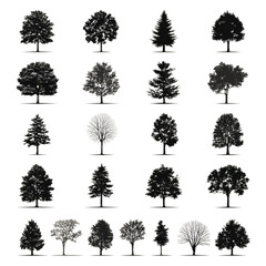 Fototapeta premium A diverse collection of black tree silhouettes isolated on white.