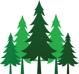 Fototapeta premium pine forest canopy clip art on transparent background
