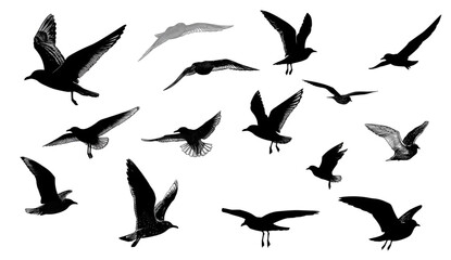 A collection of black bird silhouettes flying in various poses.