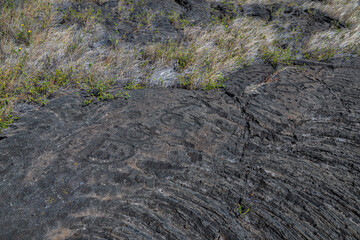 Naklejka premium Along the Trail to the Pu'uloa Petroglyphs Field on Big Island, HI