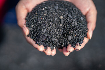 Punaluʻu Beach ( Black Sand Beach) is a beach between Pāhala and Nāʻālehu on the Big Island of the U.S. state of Hawaii. The beach has black sand made of basalt lava.