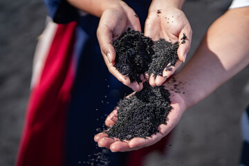 Punaluʻu Beach ( Black Sand Beach) is a beach between Pāhala and Nāʻālehu on the Big Island of the U.S. state of Hawaii. The beach has black sand made of basalt lava.