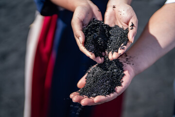 Punaluʻu Beach ( Black Sand Beach) is a beach between Pāhala and Nāʻālehu on the Big Island of the U.S. state of Hawaii. The beach has black sand made of basalt lava.