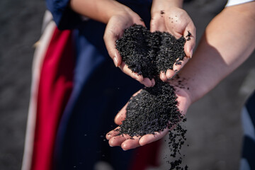 Punaluʻu Beach ( Black Sand Beach) is a beach between Pāhala and Nāʻālehu on the Big Island of the U.S. state of Hawaii. The beach has black sand made of basalt lava.