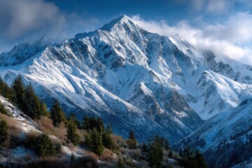 Fototapeta premium Snowy Mountain Peak Above Evergreen Forest