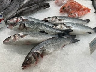 Fresh variety of fish on ice display at a seafood market