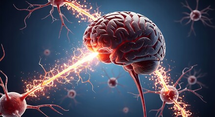 Brain Activity - Neural Connections and Cognitive Function.