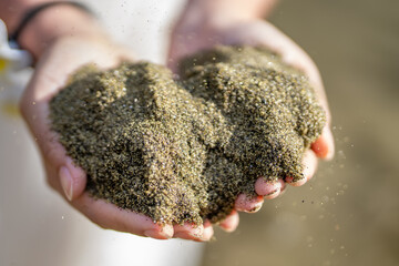 Papakōlea Beach (also known as Green Sand Beach or Mahana Beach) is a green sand beach located near South Point, in the Kaʻū district of the island of Hawaiʻi. Olivine Crystals