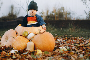 Cute baby boy sitting in big pumpkin in autumn garden with pumpkins and fall leaves. Happy...