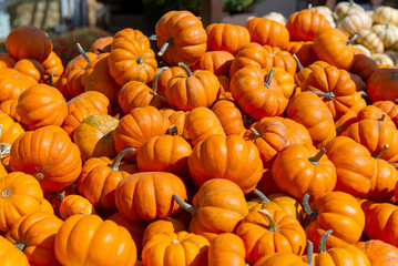Close-up of orange pumpkins pile at autumn farmers market