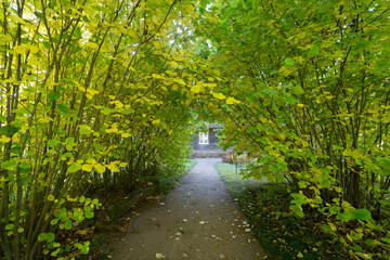 footpath in the park