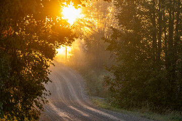 sun rays in the morning