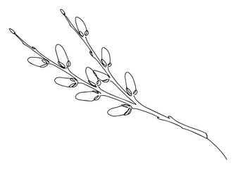 Minimalist willow branch continuous line drawing – elegant botanical twig with catkins illustration © Luka