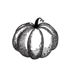 Pumpkin closeup isolated. Halloween symbol. Design template, stock vector illustration. Cute Pumpkins or ghost. Vector autumn holidays illustration.